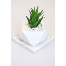 Yapay Çiçek Deposu Altlıklı Beton Saksıda Kaliteli Yapay Succulent Kaktüs Set Yeşil