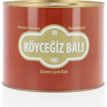 Köyceğiz Balı Süzme Çiçek Balı Teneke 2850 G