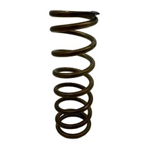 Transpalet Pompa Yayı Krom Paslanmaz