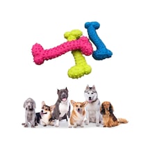 Buffer Tiny Kemik Oyuncağı Tırtıklı Yüzey Küçük Kemik Plastik Köpek Oyuncağı
