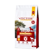 Vector Hipoalerjenik Kuzu Etli Yetişkin Köpek Maması 12 Kg