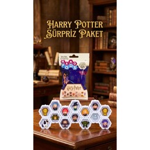 Harry Potter Koleksiyon Sürpriz Figür Seti Ünlü Karakterler