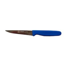 Sürbisa 61004-LZ Sebze Bıçağı Lazer Bilemeli Mavi