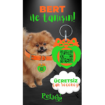 Petjoo 13.Bert Yeşil-Turuncu Qr'lı Köpek Künyesi