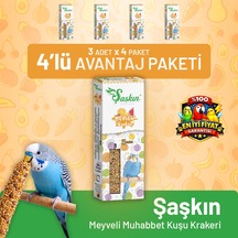Meyveli Muhabbet Kuşu Krakeri 3'lü - 4 Adet