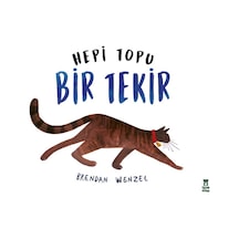 Hepi Topu Bir Tekir - Ezjı-751511