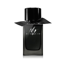 Burberry Mr. Burberry Erkek Parfüm EDP 100 ML