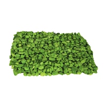 Çakıl Taşı Küllük Teraryum Akvaryum Taşı Yeşil 1 Kg