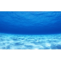 Kanki Pet 105 CM Akvaryum Arka Fon Yapıştırma 105x52 CM
