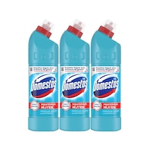 Domestos Çamaşır Suyu 750 ML Okaliptüs Ferahlığı 3 x 750 ML