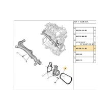 Devirdaim Kayışı 2008 301 C-elysee 9675874180-3pk576