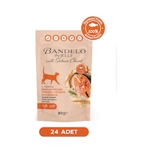 Somonlu Kısırlaştırılmış Yetişkin Kedi Yaş Maması - Jöle İçinde Parça Etli, 85 Gr X 24 Adet