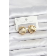 316l Çelik Gold Renk Deniz Kabuğu Model Kadın Küpe Diğer