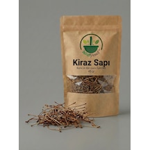 Kiraz Sapı Kiraz Sapı Çayı Cherry Stem Tea Cherry Stem Prunus Avium Doğal Kurutulmuş 45 G
