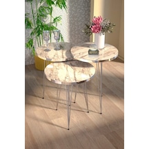 Zigon Sehpa Gümüş Efes Tel