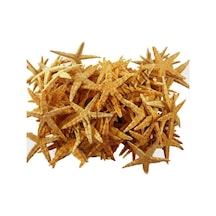 Deniz Yıldızı Natural 6 CM - 9 CM 100 Adet