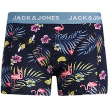 Jack & Jones 12250977 Jacflower Bird Trunk Siyah