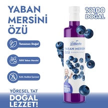 Fethiyeden Gelsin Organik Yaban Mersini Özü - Katkısız Ve Organik-700g - Saf Ve Yoğun Lezzet