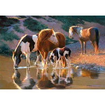 Castorland 500 Parça Puzzle Night Cap