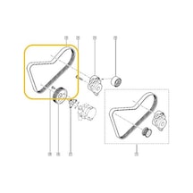 Alter Kayış 7Pk1115 Trf Iı -Mast Iıı 2.5 8200833580