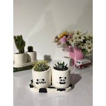 Tabaklı Panda Desenli 1 Desenli Özel Çizim Saksı Seti Hediyelik Kalemlik