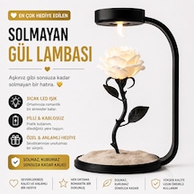 Moonlamp Beyaz Gül Dekoratif Hediyelik Lamba