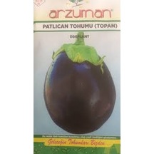 Topan Patlıcan Tohumu Arzuman
