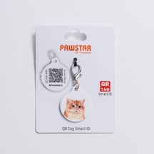 Sarman Kedi Desenli Qr Tag Evcil Hayvan Künyesi İsimlik Pet Tag Köpek Künyesi Kedi Künyesi Qr Kodlu Künye Turuncu