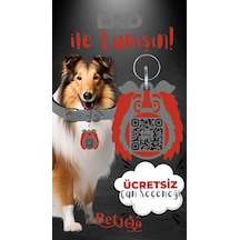 Petjoo 23.Lad Kırmızı-Gri Qr'lı Köpek Künyesi