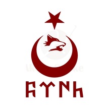 Ay Yıldız Kartal Göktürkçe Türk Oto Sticker Kırmızı 40 26 Cm