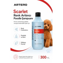 Artero Scarlet Poodle Irkına Özel Renk Arttırıcı Şampuan 300 Ml