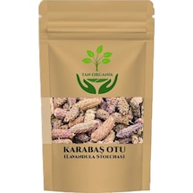 Karabaş Otu Doğal Lavandula Stoechas 100gr