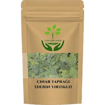 Çınar Yaprağı Derin Yırtıklı 225 Gr