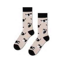 Carnaval Socks Smokin Kedi Desenli Renkli Soket Çorap Çok Renkli