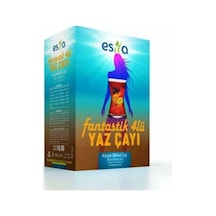 Fantastik 4 Lü Yaz Çayı* Yaza