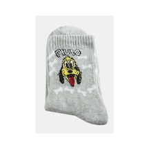 Zero Land Köpek - 742 - Kolej - Novapazr - Çorap 8x28-gri Çok Renkli
