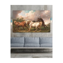 Asil Atlar Sanatsal Dekoratif Kanvas Tablo (8 Farklı Ölçü) 70 x 50