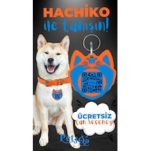 Turuncu