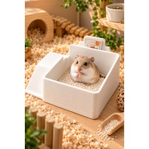 Hamster Tuvaleti Ve Kum Banyosu Kabı Küçük Kemirgenler İçin Pratik Kafes Aksesuarı