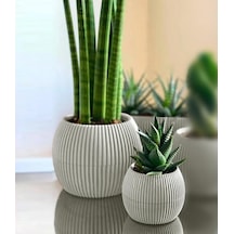 Mercan Yuvarlak Saksı Seti 0,35 Litre + 1,2 Litre, İç Mekan - Dış Mekan 2li Ekonomik Tabaklı Plastik Saksı Set Latte Renk 001