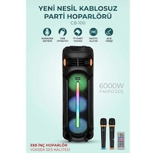 Carboon Cb-100 Profosyonel Işıklı Çift Kablosuz Mikrofonlu Müzik Kutusu