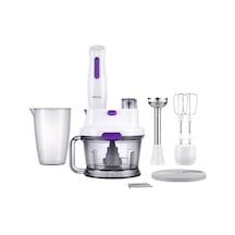 Regal RMBS 1000 B Multi Blender Set