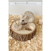 Ahşap Hamster Oyuncak Atıştırmalık Kutusu - Diş Öğretici Eğitici Oyuncak