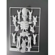 Sök+tak İnsan İskeleti