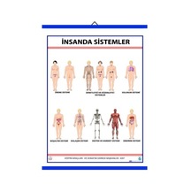 Insanda Sistemler Levhası 70X100