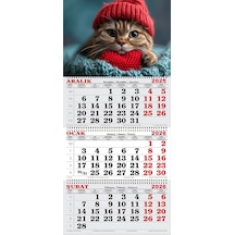 2026 Yılı Gemici Takvimi- Kırmızı Bereli Kedi