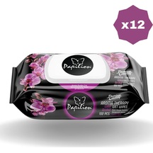 Papilion Islak Havlu 100'lü Aroma Terapy - 12 Adet