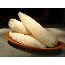 Lif Sünger Kabağı Tohumu Sponge Gourd Belirtilmemiş