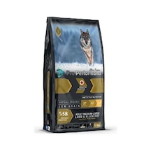 Adult Dog Medium Large Lamb,blueberry 12 Kg Pro Perf.