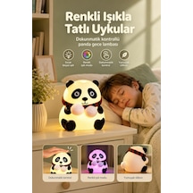 Dokunmatik Kontrollü Renkli Işık Modlu Silikon Panda Gece Lambası Beyaz